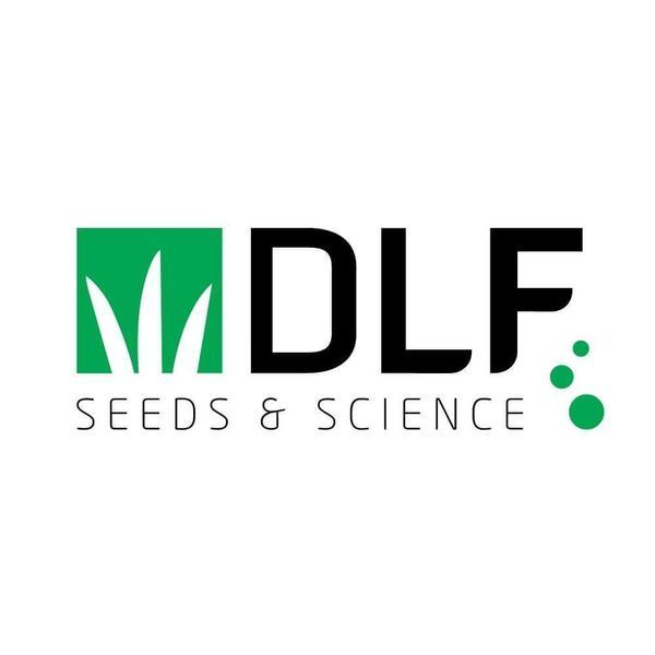 Газонна трава універсальна DLF Trifolium / ДЛФ Тріфоліум Робустика (Данія) АРТ0142 фото