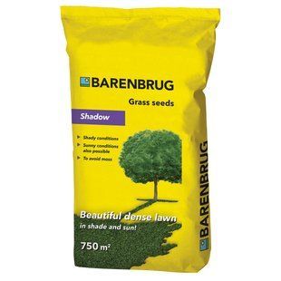 Газонна трава Barenbrug Shadow / Баренбург Тінь, 5 кг (Нідерланди) 103228876 фото