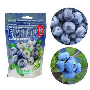 Добриво для чорниці Planton B Plantpol / Плантпол, 200 г (Польща) Planton_B фото