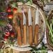 Набір кухонних ножів Opinel Les Essentials Olive, 002163 (Франція) 002163 фото 2